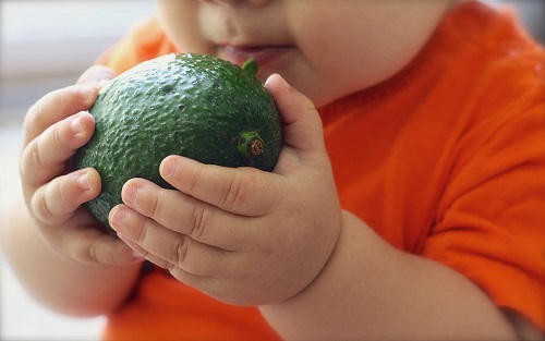 avocado-1476493_960_720.jpg